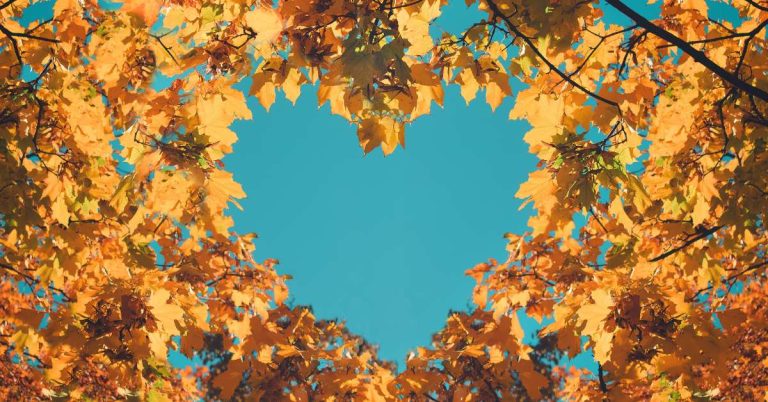 Creative Strategies to Craft the Perfect FB Caption for Maximum Engagement